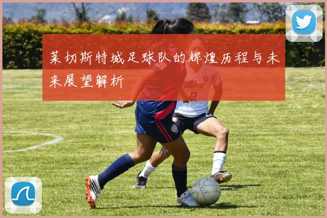 莱切斯特城足球队的辉煌历程与未来展望解析