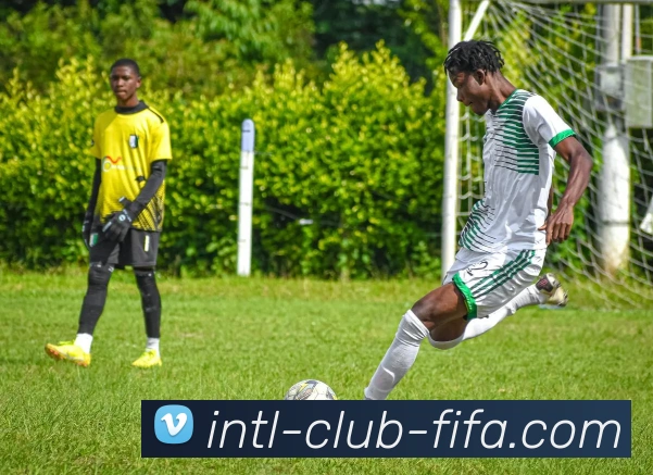 投注指南平台生态图